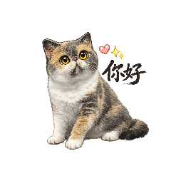 花花貓咪的日常