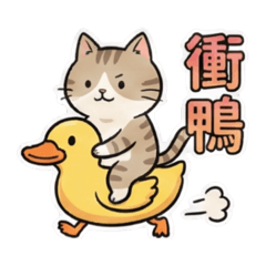 三花貓貓上班去（工作日常用語）