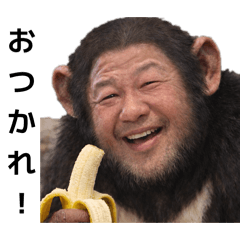 Suzuki_20260209192414