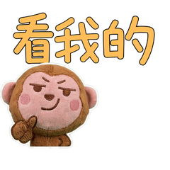 Taiwanese Rhesus Macaque 33