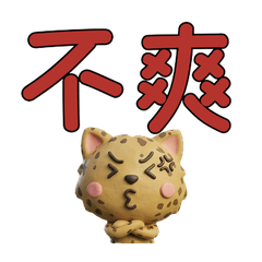 Taiwanese Ojos Azules Cat  39