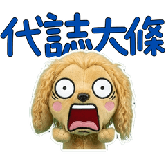 Taiwanese Afghan Hound 33