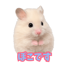 Mareator_20260212003747