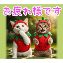 [お疲れ様です専用]イチゴ猫