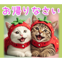 [お帰りなさい専用]イチゴ猫