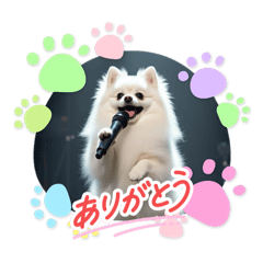 masa_20260212091727