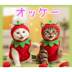 [オッケー専用]イチゴ猫