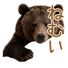 Hibernation Wish Bear: Sleepy Life