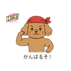 erumama_20260210113133