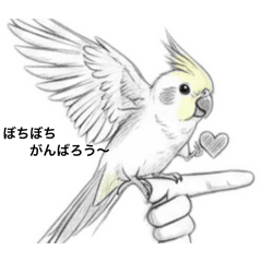 yuzuki-tyan_20260210113134