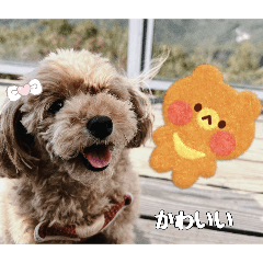 emily_20260210112940