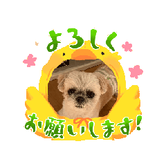 Ototo_20260212142513