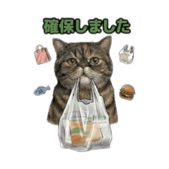 ARINCO_20260212141951