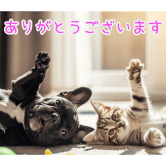 [ありがとうございます専用]猫とフレブル