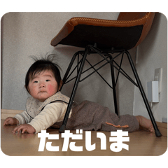 aibon_20260212190709