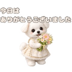 my_20260212191430