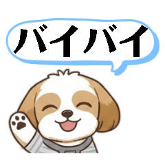 melon_20260212151608