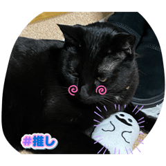 Himemama_20260212204611