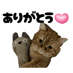 momonyan_20260212205940