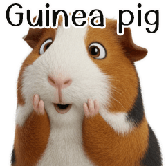 Guinea pigs-3