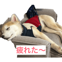 Takahashi_20260212154156