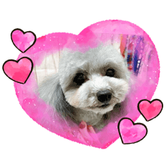 kagarin_20260212153834