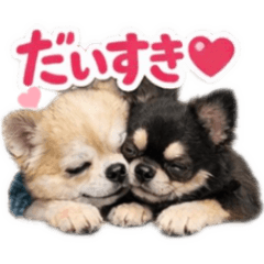 Miruku.moca_20260212224952