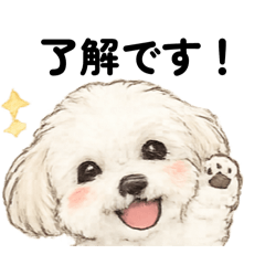 matchan_20260213003109