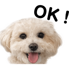 matchan_20260213033013