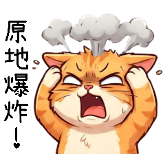 ภาษาประจําวันของเสี่ยวหวงเหมียว