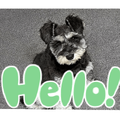 towatowa_20260212153555