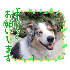 Sedai Senior Hanako_20260212153552