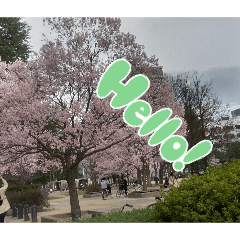 satsu_20260212153554