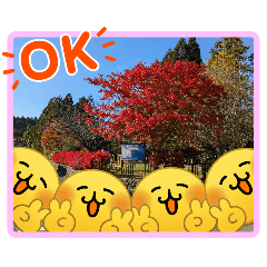 Tomosan2026212_20260212153554