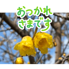 stnmmce_20260212153837