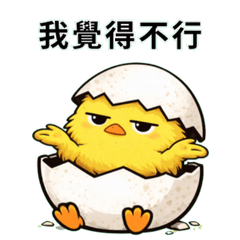 出生即無奈的小雞寶寶