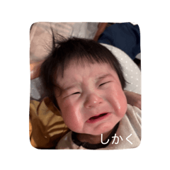 shinshin2_20260212232314