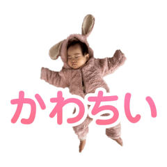 kimamani54_20260212232235