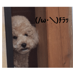 makoto_20260213093250