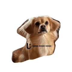 mi-na_20260213092647