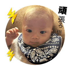 satou_20260213095045