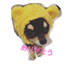 ototyanLove2
