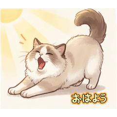 suzu_20260212161817