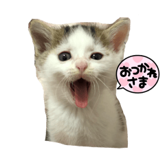 Mayu_20260212213501
