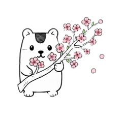 yamashikanai_20260212121257