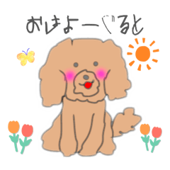 HINATABOCCO_20260212123811