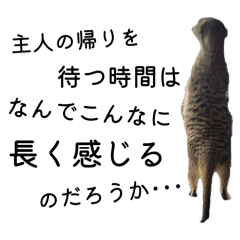 Timon_to_Urushi_Sticker_Vol.2