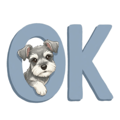 Rancom_20260209221907