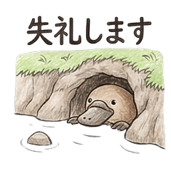 カモノハシの丁寧な毎日