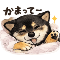 Sally_20260212164058